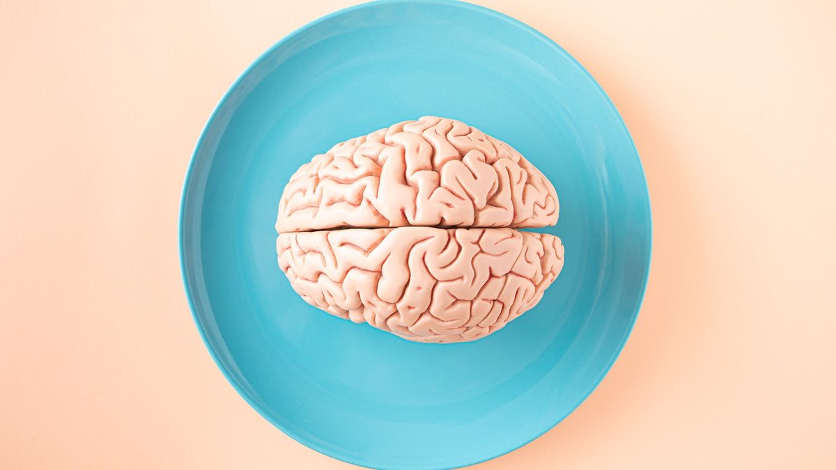A plastic model of the human brain on a turquoise plate against a pale peach background